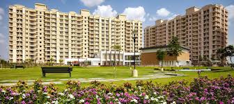 Best Real Estate Lead Generation Agency in Jaipur, Rajasthan